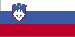 slovenian Utah - Ime članice (Branch) (Stran 1)